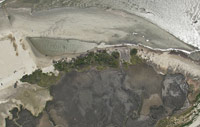 Overhead of Folly Beach County Park