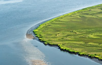 Stono River pluff ribbon