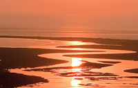 Sunrise over marsh