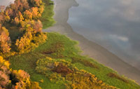 Upper Cooper River