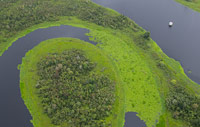 Marsh bend