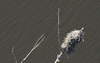 Non-intrusive nesting report