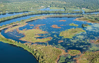 North Cooper River bend