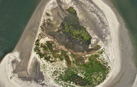 Overhead of Bird Key